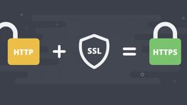 HTTPS-Protocol-but-not-safe-yet