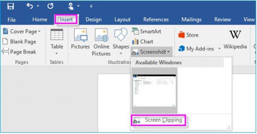 Screenshot in word 1