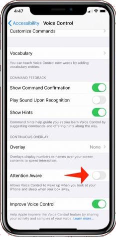 آموزش فعال کردن Voice Control در iOS 13