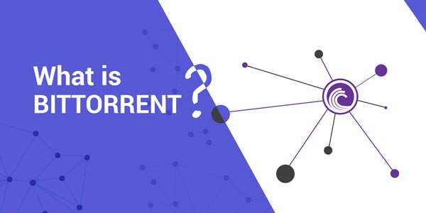 BitTorrent یا بیت تورنت چیست ؟