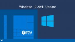 Windows-10-20H1-Update