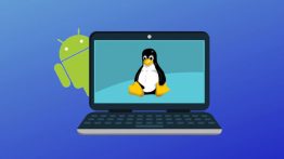Run-Android-Apps-and-Games-on-Linux