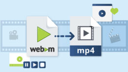 convert WebM to MP4