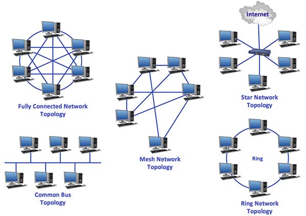 انواع توپولوژی شبکه کامپیوتری