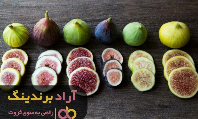 رسدین به ثروت