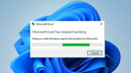How-to-fix-Microsoft-Excel-has-stopped-working-error-in-Windows